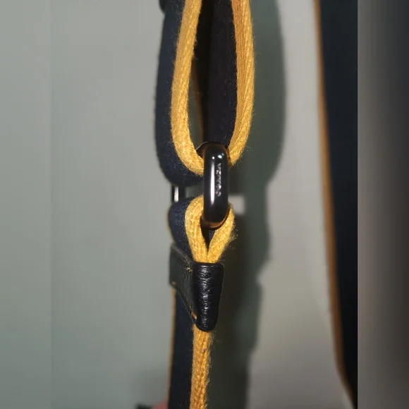 Coach Dyan 10 Horse And Carriage Crossbody Mens Bag Signature NWOT - Picture 7 of 15